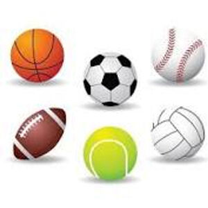 Unisex Unbranded Multi-Sport Ball Assortment Set White Black One Size